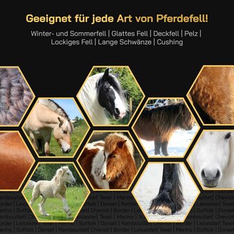 KNEIZER Tondeuse pour chevaux, ensemble complet avec accessoires &ndash; avec lames interchangeables &ndash; silencieuse et peu vibrante