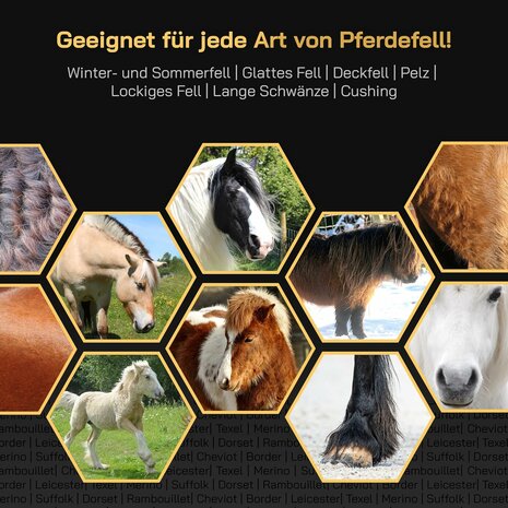 KNEIZER Tondeuse pour chevaux, ensemble complet avec accessoires &ndash; avec lames interchangeables &ndash; silencieuse et peu vibrante